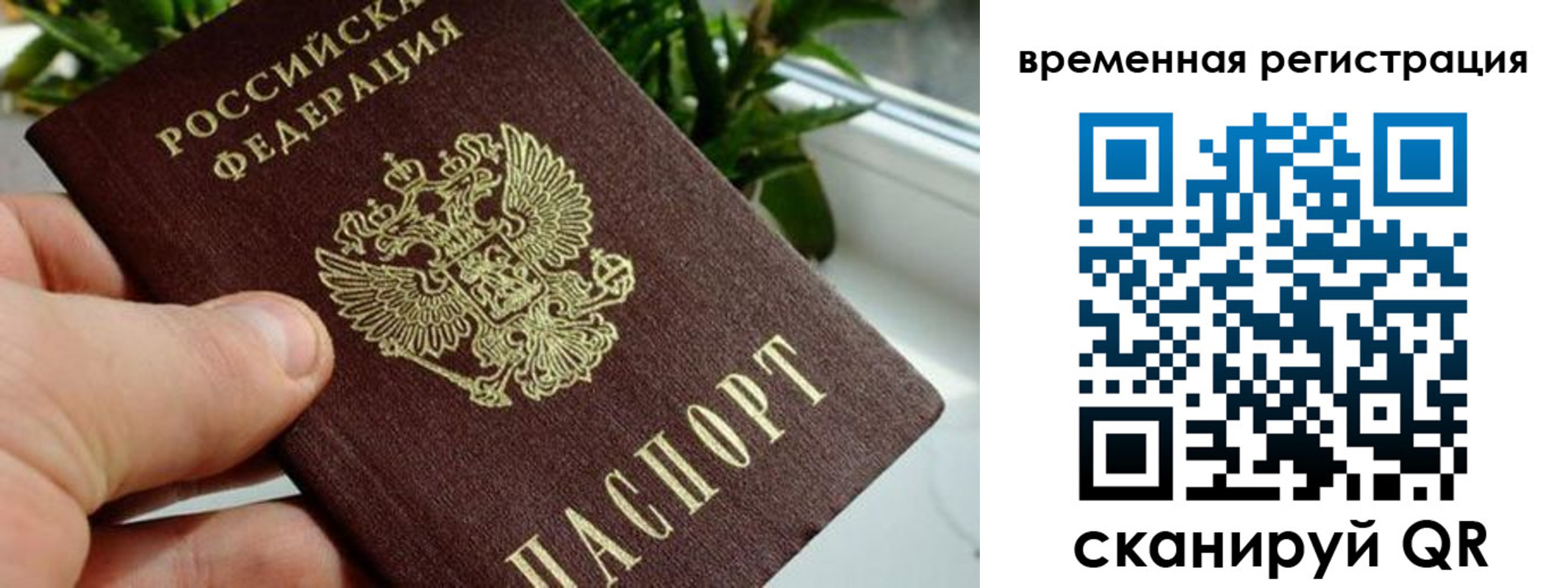 прописка поиск в Кемерово